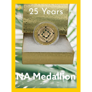 NA Narcotics Anonymous 25 years bronze medallion modified with gems! Green Gold